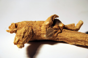 ginseng
