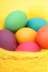 Fototapeta na wymiar easter eggs in a nest