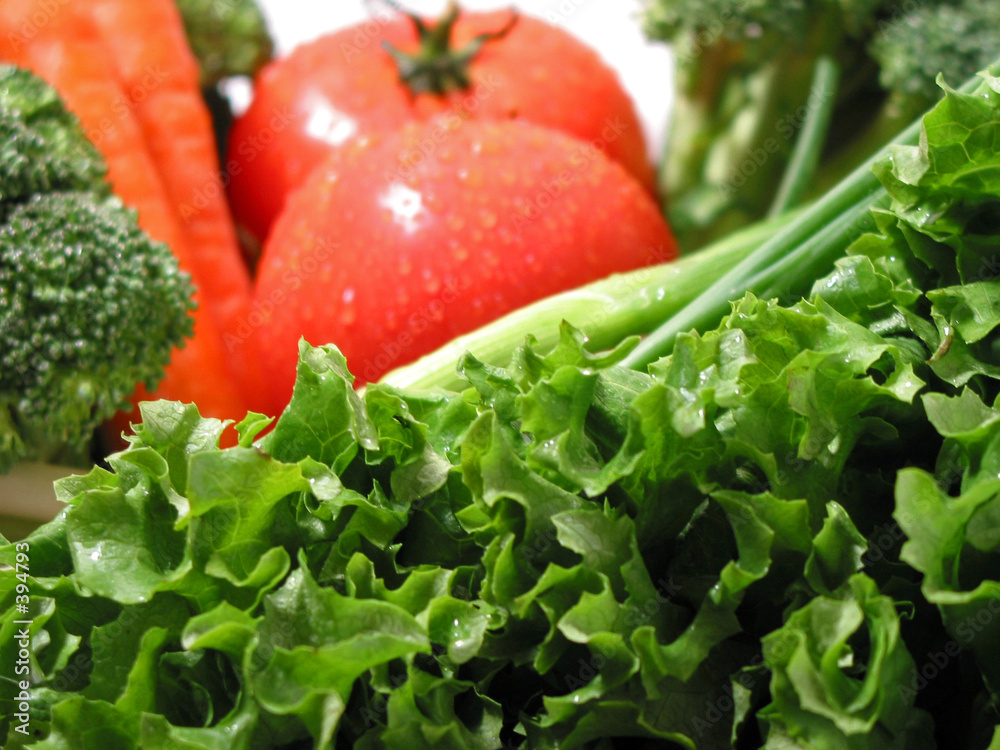 Wall mural fresh wet vegetables