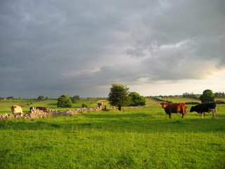 irish farmland