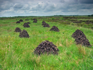 peat drying
