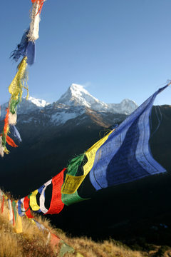 prayer flags