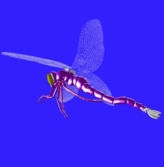 dragonfly 4