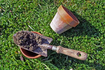plantoir
