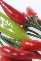 surrounded - umzingelt