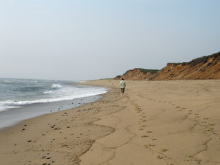 solitary walk on the beach