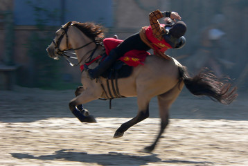 the knight on the horse