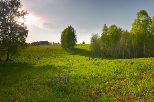 spring landscape