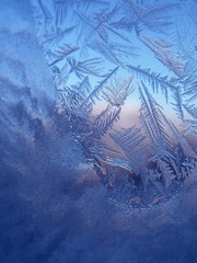  frosty pattern on winter window