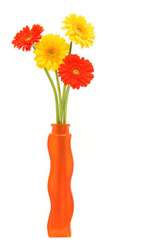 gerbera daisies in vase