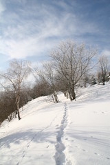 Fototapeta na wymiar spaziergang durch den schnee