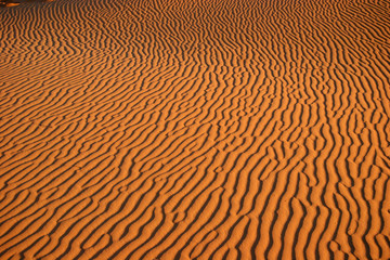 desert patterns