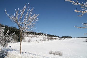 winterlandschaft wie aus dem bilderbuch