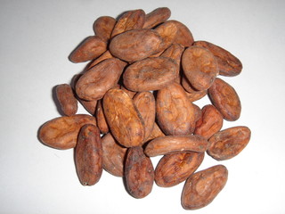 cacao