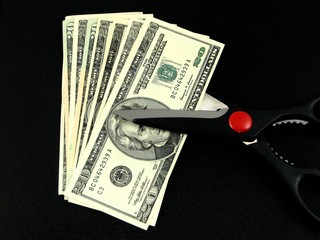cutting the budget