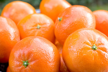 Fototapeta na wymiar miskę Clementine mandarynki 2