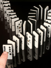 domino