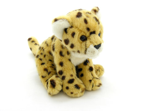 guepard