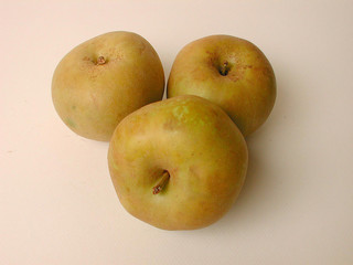 pommes canada grises