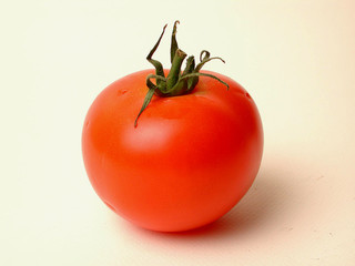 tomate 77