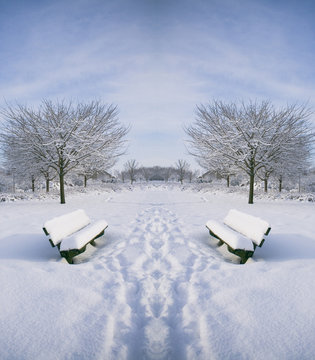 Fototapeta benches in the snow