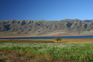 tafi del valle