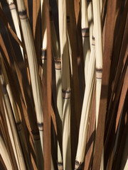 decorative bamboo vertical