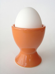 egg