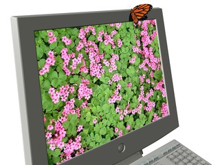 screen flower