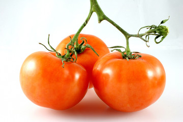 vine tomatoes