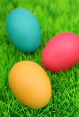 colored easter eggs on grass