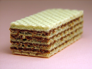 biscuit