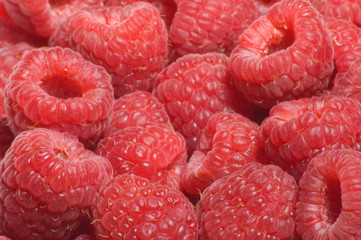 red raspberries background