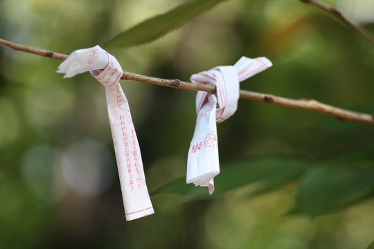 omikuji