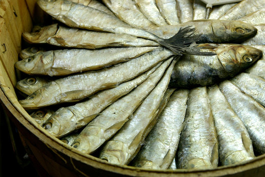 poissons - mercat de barcelona