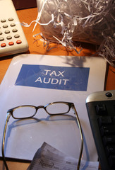 tax audit - white collar crime