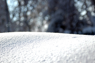 snowscape