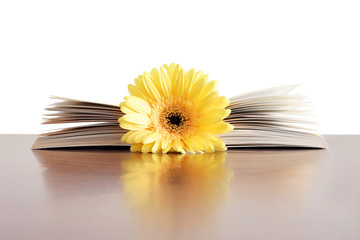 flor y libro