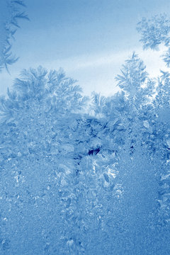 cyan frost