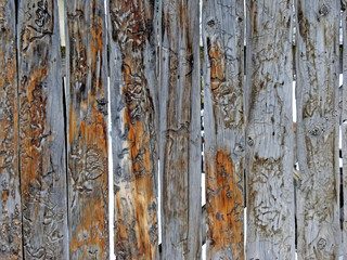 wooden fence