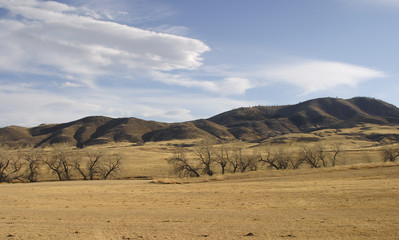 Fototapeta na wymiar krajobrazu w pobliżu Red Feather Lakes, Colorado, USA