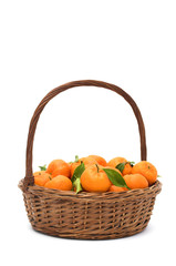tangerines