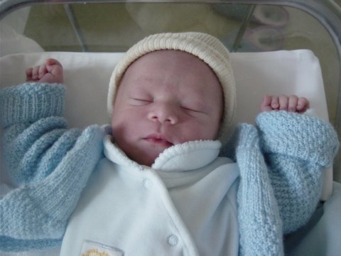 12 269 Best Naissance Images Stock Photos Vectors Adobe Stock