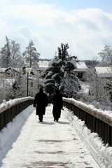 brücke im winter #4