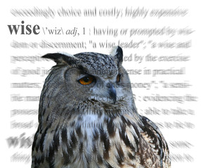wise