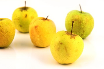 apple scattered