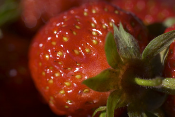 close of strawberry