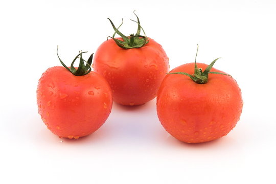 tomato group