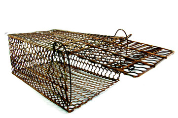 mousetrap