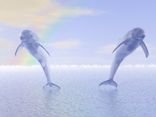 springende delfine - 464306